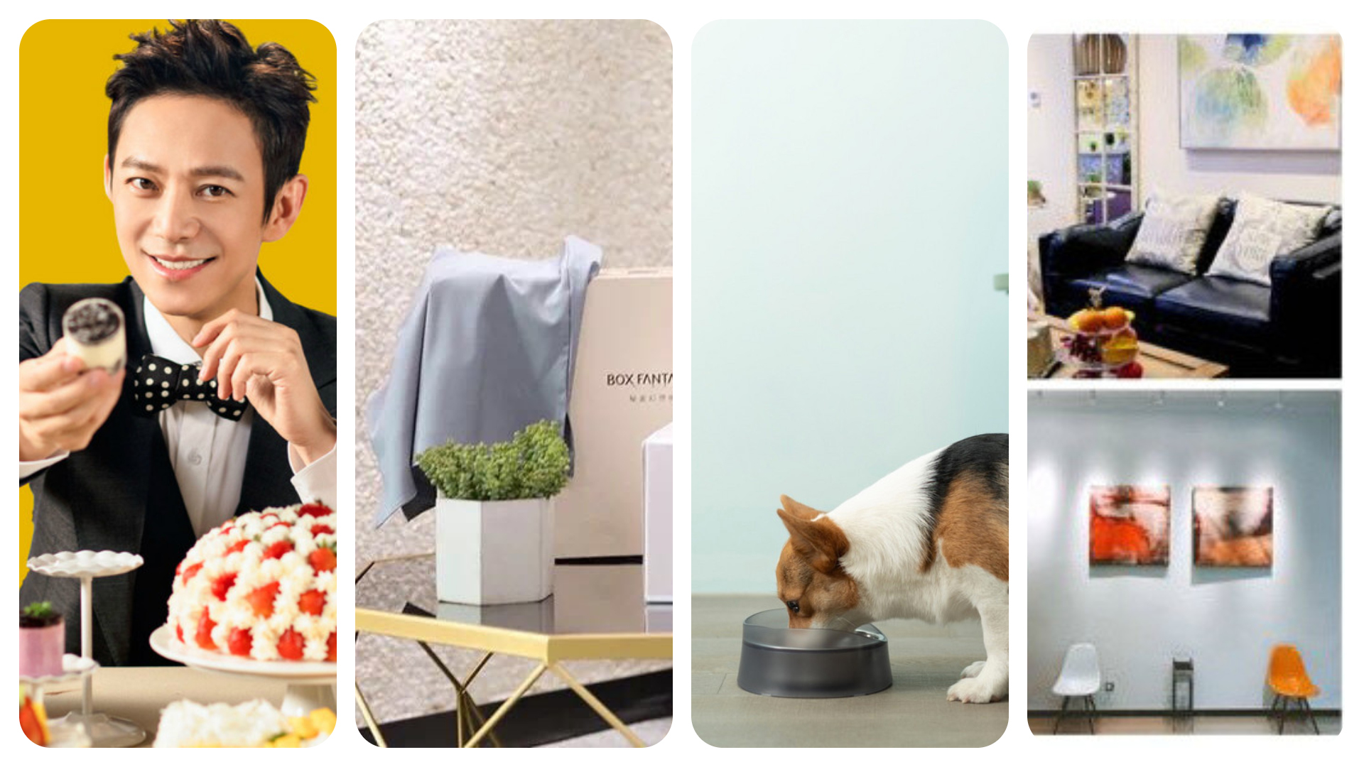 China Fashion and Lifestyle Investment News：Womenswear subscription e-commerce, Internet cake, pet product, experience home and offline scenario big-data services