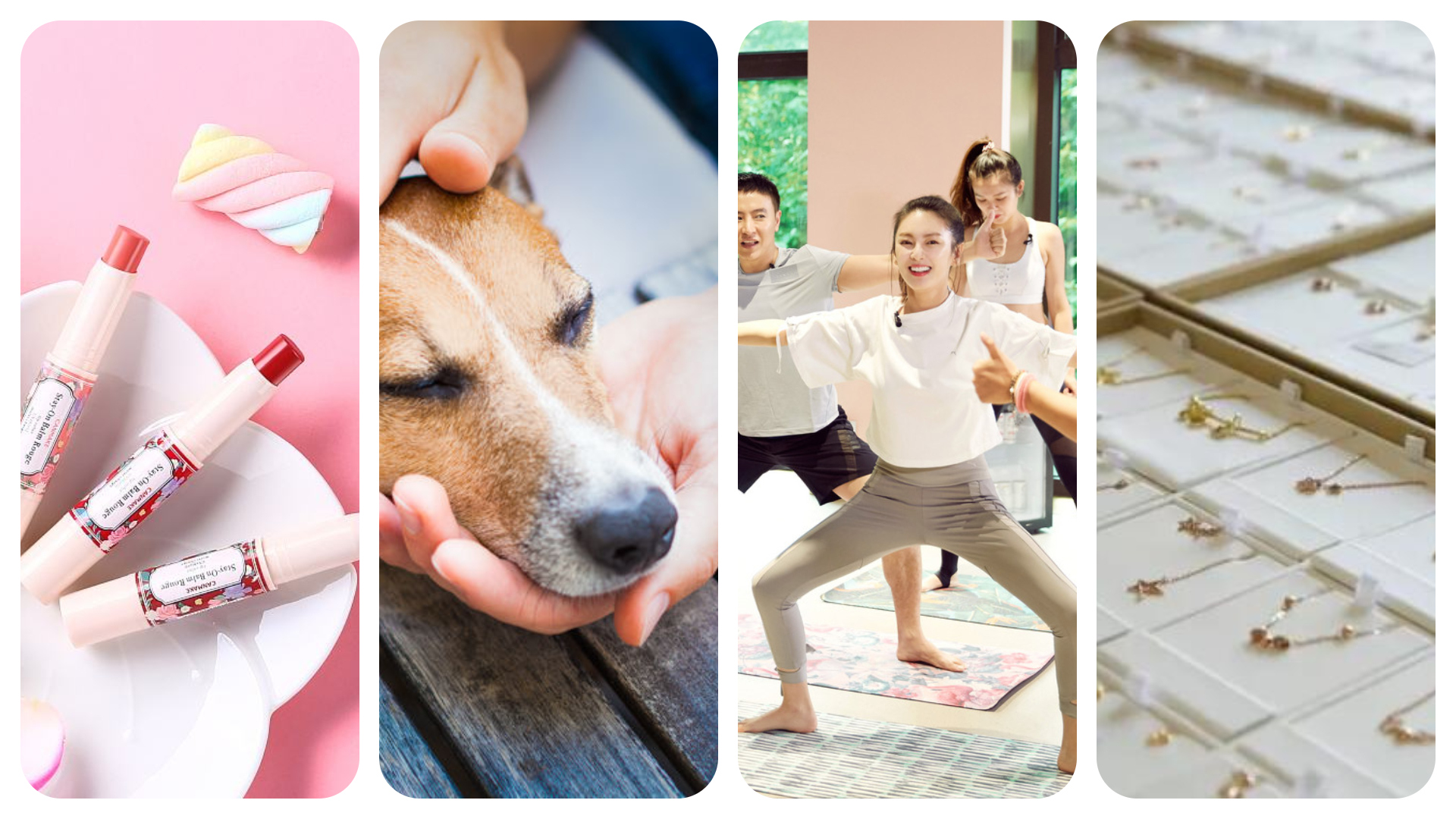 China Fashion and Lifestyle Investment News：Jewelry supply chain platform, Pet products, Big data operation services