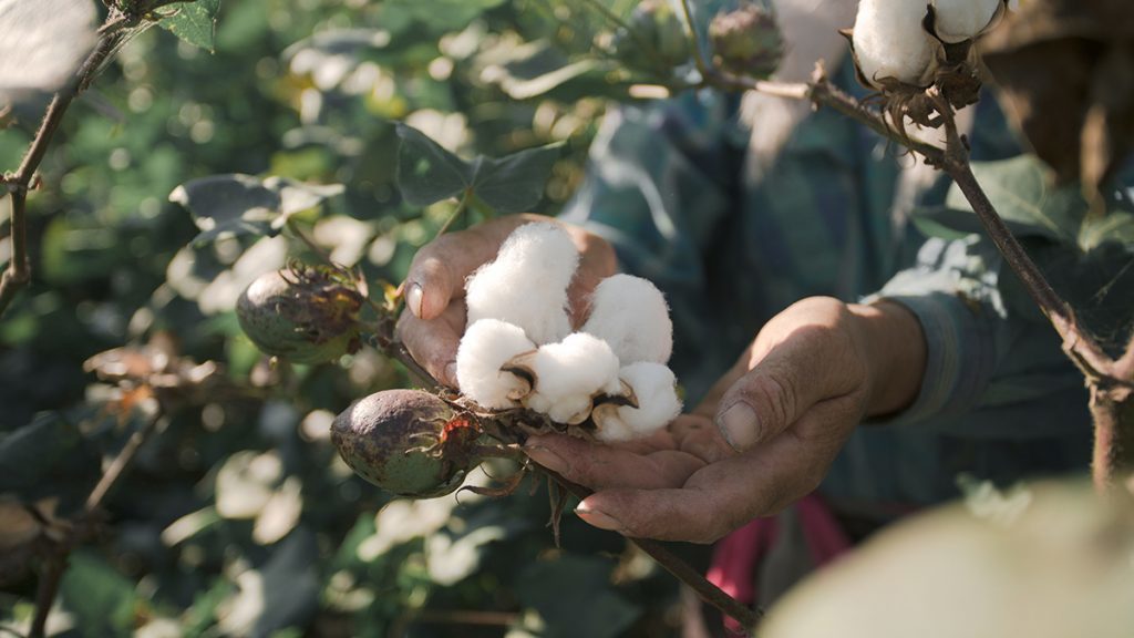 INTERVIEW | How Can Fast Fashion Succeed As "Sustainable" In China?