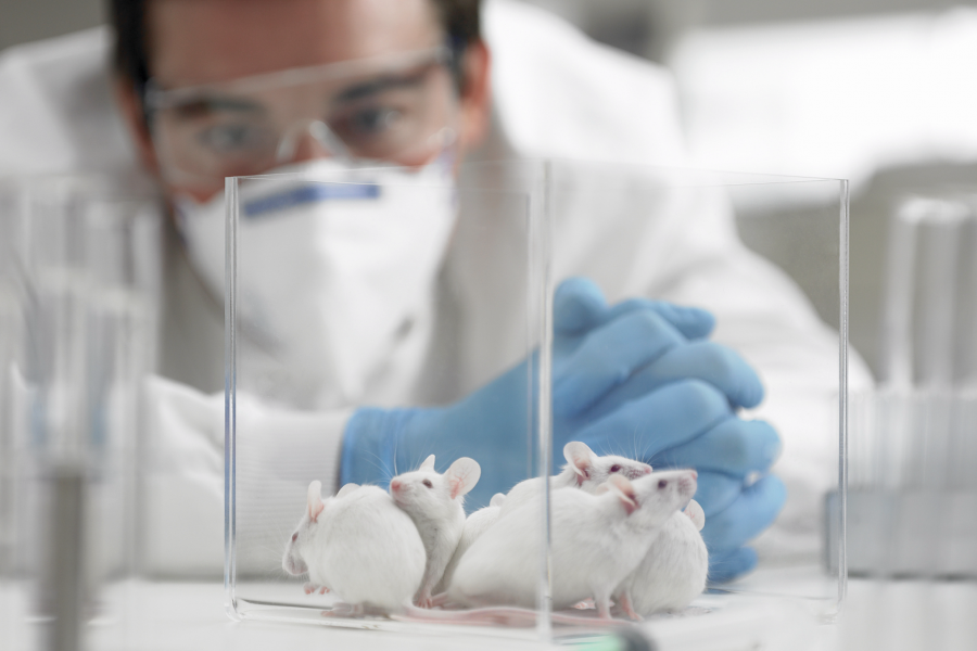 China To No Longer Require Animal Testing on Imported General Cosmetics from May 1