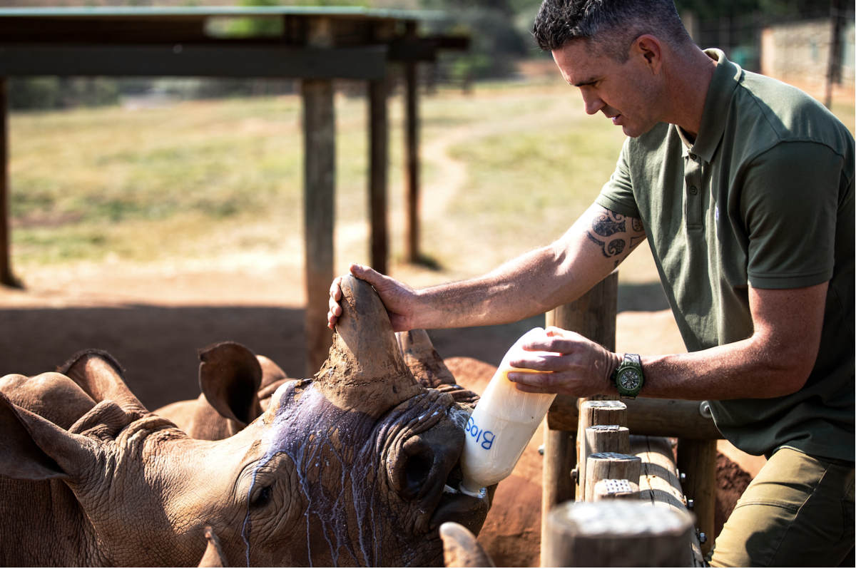 Dialogue with Kevin Pietersen: Endangered Species Protection Needs Entrepreneurship and Professional Attitude